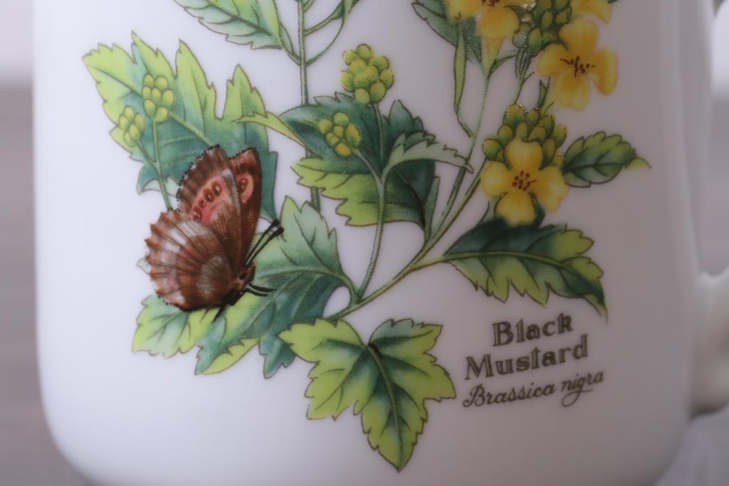 ROYAL WORCESTER(ロイヤルウースター)　WORCESTER　HERBS(ウースターハーブ)　コーヒーカップ3点セット