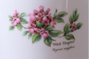 ROYAL WORCESTER(ロイヤルウースター)　WORCESTER　HERBS(ウースターハーブ)　コーヒーカップ3点セット