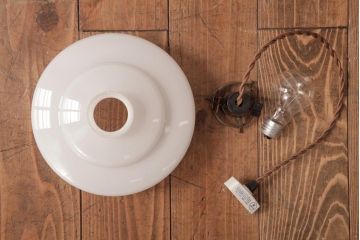 昭和レトロ　愛らしい花鳥が描かれた切子細工のペンダントライト(天井照明、吊り下げ照明)