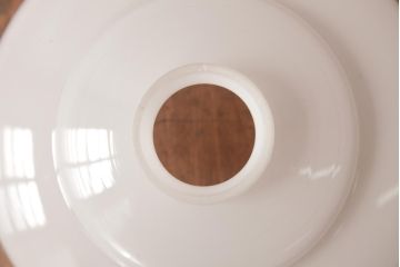 昭和レトロ　愛らしい花鳥が描かれた切子細工のペンダントライト(天井照明、吊り下げ照明)