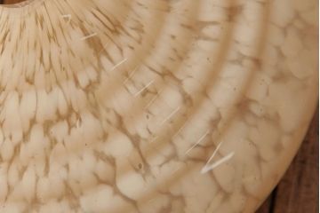 イギリスアンティーク　マーブルガラスがおしゃれなペンダントライト(天井照明)