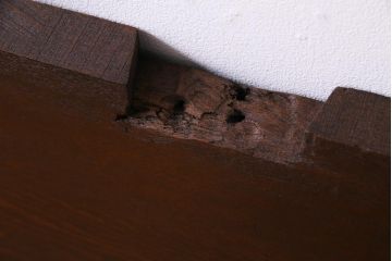 アンティーク雑貨　明治大正期　DIY　力強い見事な木目が楽しめる古材一枚板(材料)