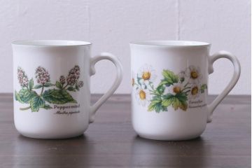 ROYAL WORCESTER(ロイヤルウースター)　WORCESTER　HERBS(ウースターハーブ)　コーヒーカップ2点セット