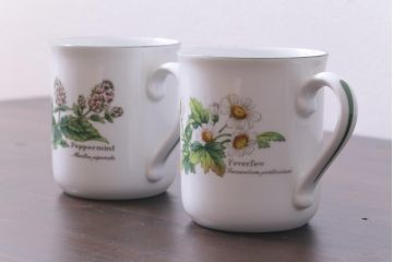 ROYAL WORCESTER(ロイヤルウースター)　WORCESTER　HERBS(ウースターハーブ)　コーヒーカップ2点セット