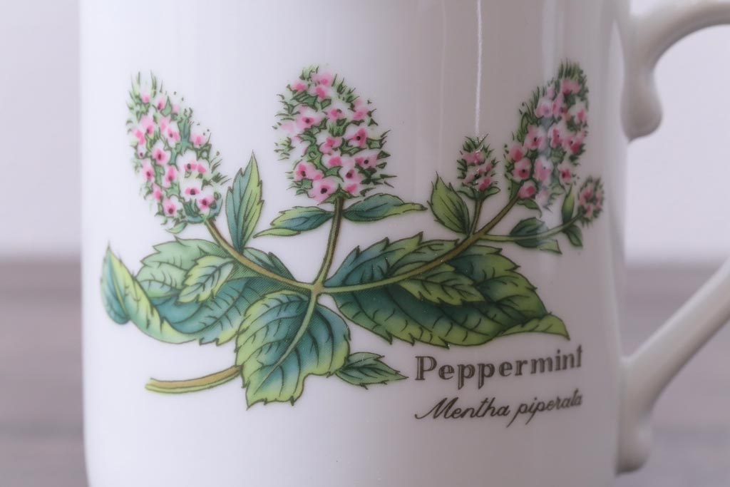 ROYAL WORCESTER(ロイヤルウースター)　WORCESTER　HERBS(ウースターハーブ)　コーヒーカップ2点セット