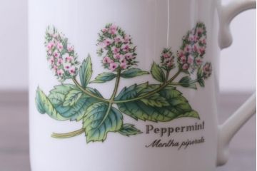 ROYAL WORCESTER(ロイヤルウースター)　WORCESTER　HERBS(ウースターハーブ)　コーヒーカップ2点セット