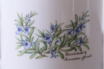 ROYAL WORCESTER(ロイヤルウースター)　WORCESTER　HERBS(ウースターハーブ)　コーヒーカップ2点セット