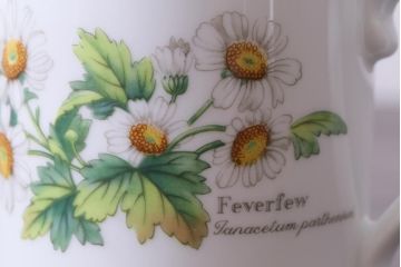 ROYAL WORCESTER(ロイヤルウースター)　WORCESTER　HERBS(ウースターハーブ)　コーヒーカップ2点セット