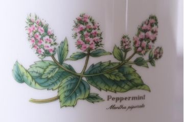 ROYAL WORCESTER(ロイヤルウースター)　WORCESTER　HERBS(ウースターハーブ)　コーヒーカップ2点セット