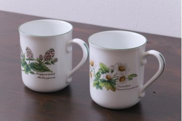 ROYAL WORCESTER(ロイヤルウースター)　WORCESTER　HERBS(ウースターハーブ)　コーヒーカップ2点セット