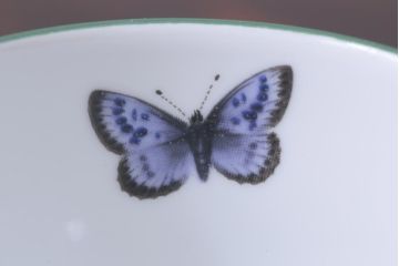 イギリス　ROYAL WORCESTER(ロイヤル ウースター)　HERBS(ハーブス)　カップ&ソーサー2客セット(1)