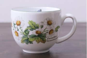 イギリス　ROYAL WORCESTER(ロイヤル ウースター)　HERBS(ハーブス)　カップ&ソーサー2客セット(1)