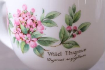 イギリス　ROYAL WORCESTER(ロイヤル ウースター)　HERBS(ハーブス)　カップ&ソーサー2客セット(1)