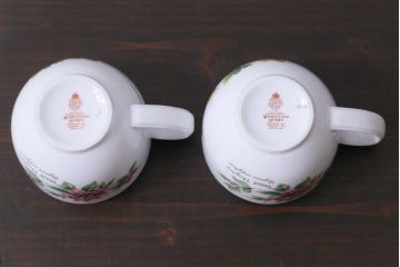 イギリス　ROYAL WORCESTER(ロイヤル ウースター)　HERBS(ハーブス)　カップ&ソーサー2客セット(1)
