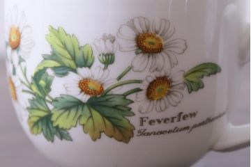 イギリス　ROYAL WORCESTER(ロイヤル ウースター)　HERBS(ハーブス)　カップ&ソーサー2客セット(1)