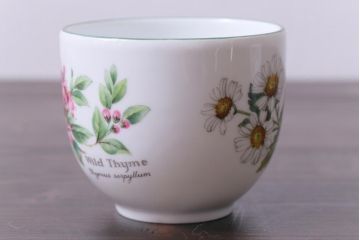 イギリス　ROYAL WORCESTER(ロイヤル ウースター)　HERBS(ハーブス)　カップ&ソーサー2客セット(2)