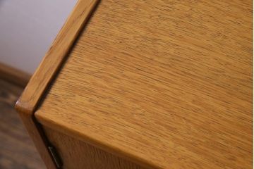 ヴィンテージ家具　北欧ビンテージ　G-PLAN(ジープラン)　ハンガー掛け付きワードローブ(収納棚、キャビネット)