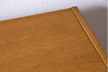 ヴィンテージ家具　北欧ビンテージ　G-PLAN(ジープラン)　ハンガー掛け付きワードローブ(収納棚、キャビネット)
