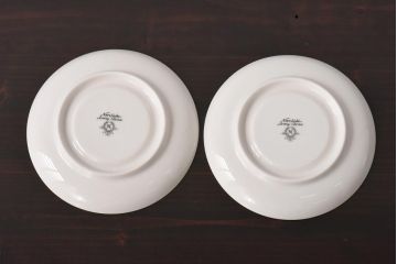 未使用品　ノリタケ(Noritake、日陶)　海外輸出　アイボリーチャイナ　トリオ2客セット・箱付き(カップ、ソーサー、プレート)