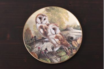 未使用品　ROYAL DOULTON(ロイヤルドルトン)　BRITISH OWLS　プレート(皿、洋食器)(1)