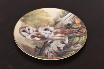 未使用品　ROYAL DOULTON(ロイヤルドルトン)　BRITISH OWLS　プレート(皿、洋食器)(1)