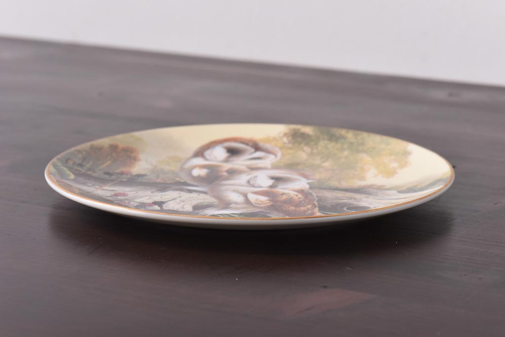 未使用品　ROYAL DOULTON(ロイヤルドルトン)　BRITISH OWLS　プレート(皿、洋食器)(1)