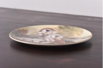 未使用品　ROYAL DOULTON(ロイヤルドルトン)　BRITISH OWLS　プレート(皿、洋食器)(1)
