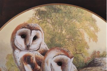 未使用品　ROYAL DOULTON(ロイヤルドルトン)　BRITISH OWLS　プレート(皿、洋食器)(1)