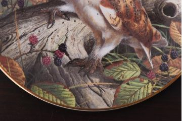 未使用品　ROYAL DOULTON(ロイヤルドルトン)　BRITISH OWLS　プレート(皿、洋食器)(1)