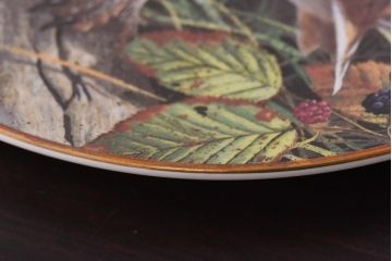 未使用品　ROYAL DOULTON(ロイヤルドルトン)　BRITISH OWLS　プレート(皿、洋食器)(1)