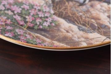未使用品　ROYAL DOULTON(ロイヤルドルトン)　BRITISH OWLS　プレート(皿、洋食器)(2)