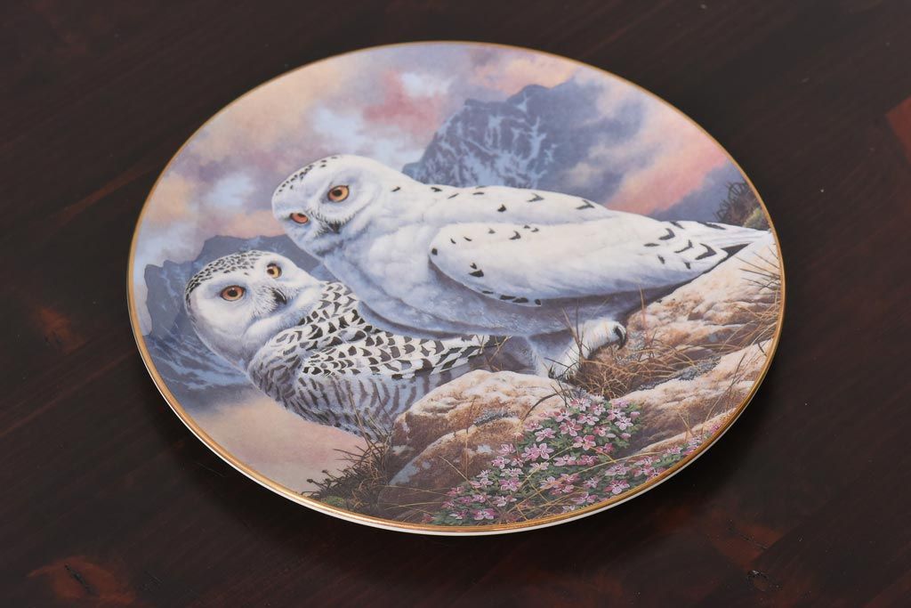 未使用品　ROYAL DOULTON(ロイヤルドルトン)　BRITISH OWLS　プレート(皿、洋食器)(2)