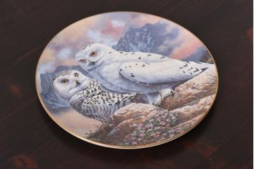 未使用品　ROYAL DOULTON(ロイヤルドルトン)　BRITISH OWLS　プレート(皿、洋食器)(2)