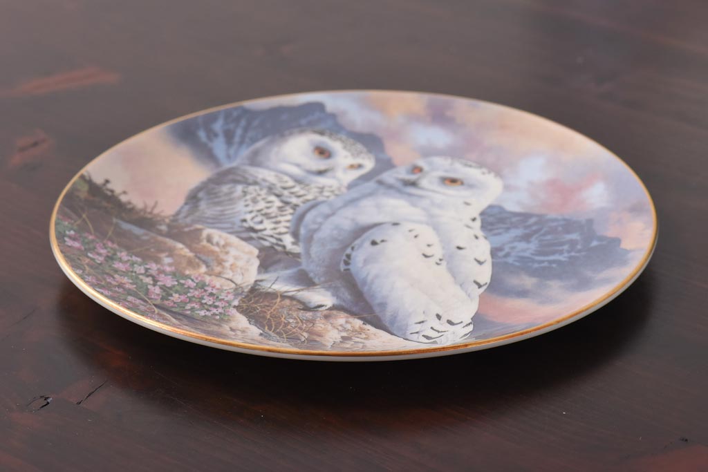 未使用品　ROYAL DOULTON(ロイヤルドルトン)　BRITISH OWLS　プレート(皿、洋食器)(2)