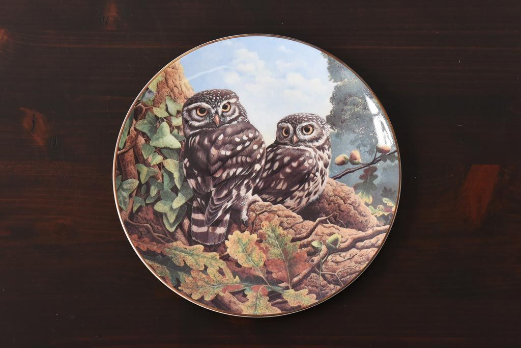 未使用品　ROYAL DOULTON(ロイヤルドルトン)　BRITISH OWLS　プレート(皿、洋食器)(3)