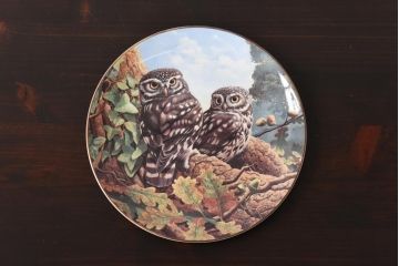 未使用品　ROYAL DOULTON(ロイヤルドルトン)　BRITISH OWLS　プレート(皿、洋食器)(3)