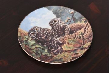 未使用品　ROYAL DOULTON(ロイヤルドルトン)　BRITISH OWLS　プレート(皿、洋食器)(3)