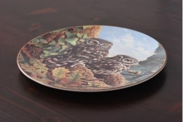 未使用品　ROYAL DOULTON(ロイヤルドルトン)　BRITISH OWLS　プレート(皿、洋食器)(3)