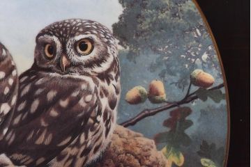 未使用品　ROYAL DOULTON(ロイヤルドルトン)　BRITISH OWLS　プレート(皿、洋食器)(3)
