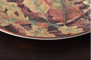 未使用品　ROYAL DOULTON(ロイヤルドルトン)　BRITISH OWLS　プレート(皿、洋食器)(3)