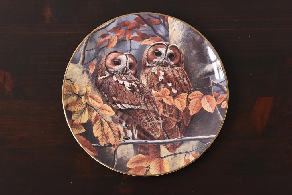 未使用品　ROYAL DOULTON(ロイヤルドルトン)　BRITISH OWLS　プレート(皿、洋食器)