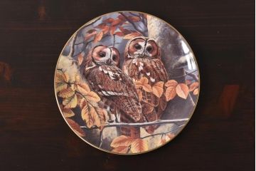 未使用品　ROYAL DOULTON(ロイヤルドルトン)　BRITISH OWLS　プレート(皿、洋食器)