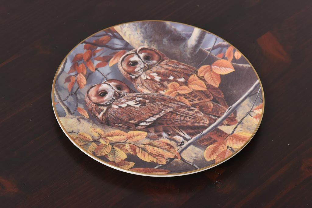 未使用品　ROYAL DOULTON(ロイヤルドルトン)　BRITISH OWLS　プレート(皿、洋食器)