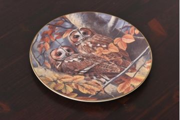 未使用品　ROYAL DOULTON(ロイヤルドルトン)　BRITISH OWLS　プレート(皿、洋食器)