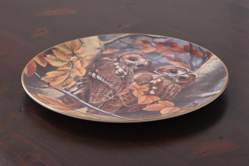 未使用品　ROYAL DOULTON(ロイヤルドルトン)　BRITISH OWLS　プレート(皿、洋食器)