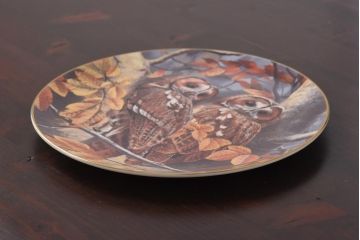 未使用品　ROYAL DOULTON(ロイヤルドルトン)　BRITISH OWLS　プレート(皿、洋食器)