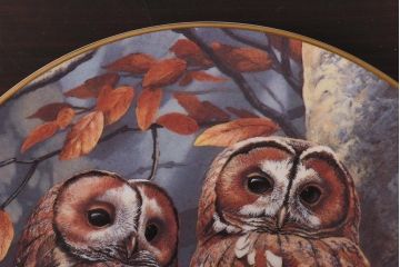 未使用品　ROYAL DOULTON(ロイヤルドルトン)　BRITISH OWLS　プレート(皿、洋食器)