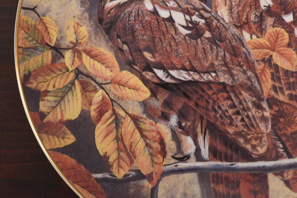 未使用品　ROYAL DOULTON(ロイヤルドルトン)　BRITISH OWLS　プレート(皿、洋食器)