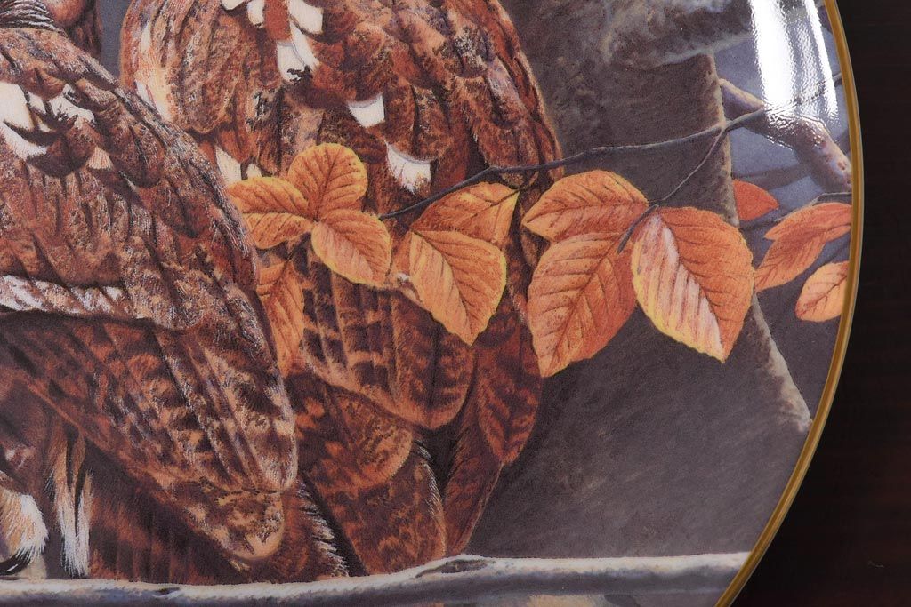 未使用品　ROYAL DOULTON(ロイヤルドルトン)　BRITISH OWLS　プレート(皿、洋食器)