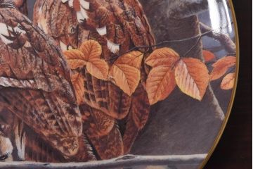 未使用品　ROYAL DOULTON(ロイヤルドルトン)　BRITISH OWLS　プレート(皿、洋食器)